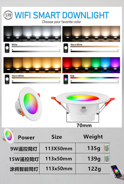 Voice-Controlled Dimmable RGB LED Downlight | Smart Recessed Lighting for Home